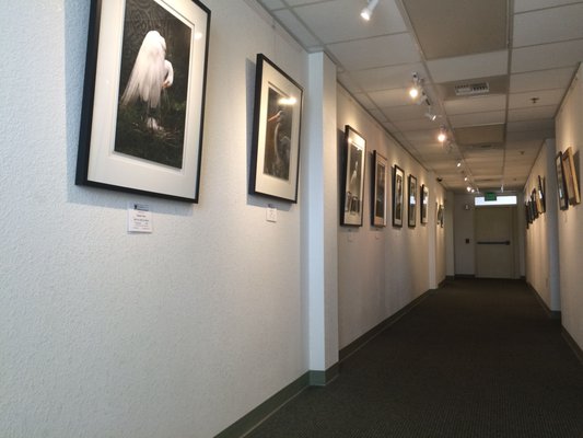 Carrollwood Cultural Center by null