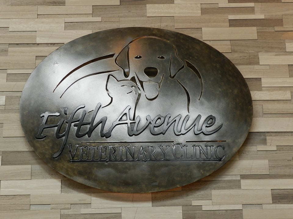 FIFTH AVENUE VETERINARY CLINIC Updated October 2024 10 5th Avenue, Orangeville, Ontario