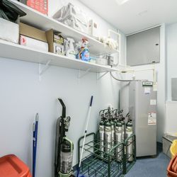 Minimally Invasive Vascular