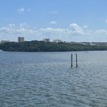 The Tropics Boat Tours - Bird island - Boat Tours Near Me - Clearwater, Florida
