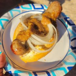 Maienfels Biergarten - Brat with onion, kraut, and mustard