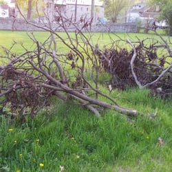 Don Packard Tree Service - Just unacceptable!