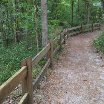 Devil's Millhopper State Geological Site - Trails - Parks Near Me - Gainesville, Florida Devil's Millhopper State Geological Site - Trails - Parks Near Me - Gainesville, Florida