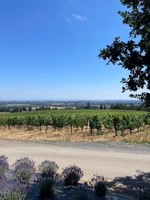 Durant Vineyards Tasting Room by null