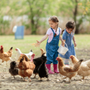 Photo of Aloha Feed Garden & Pet