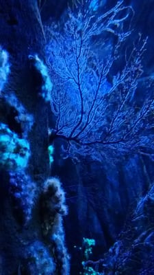 Sevilla Aquarium by null