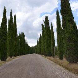 Poggio Antico - Entrance