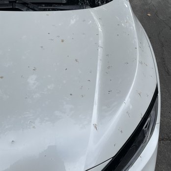 Imperial Auto Body - Before - Auto Detailing Near Me - Washington, DC, District of Columbia