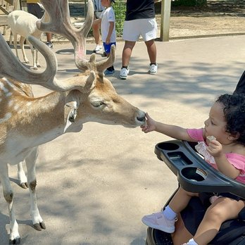Wisconsin Deer Park - Zoos Near Me - Wisconsin Dells, Wisconsin Wisconsin Deer Park - Zoos Near Me - Wisconsin Dells, Wisconsin