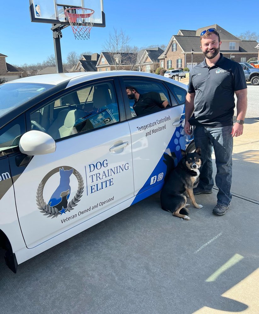 DOG TRAINING ELITE UPSTATE Updated September 2024 10 Photos