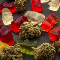 Blaze Weed Delivery Mobile Dispensary