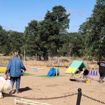 Guaranteed Dog Training - Pet Training Near Me - Stockton, California Guaranteed Dog Training - Pet Training Near Me - Stockton, California