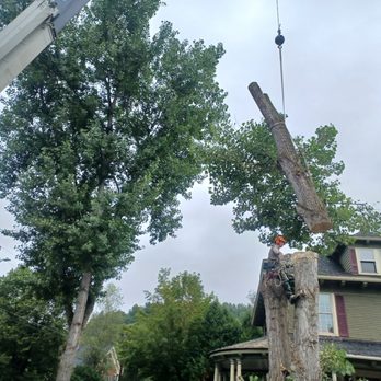 Ben's Danger Tree Removal - Tree Services Near Me - Brownington, Vermont Ben's Danger Tree Removal - Tree Services Near Me - Brownington, Vermont