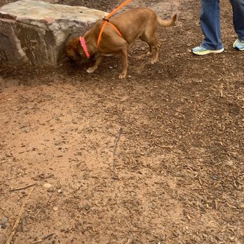 Mostly Mutts Animal Rescue Community Service Non Profit 2774 North Cobb Pkwy Kennesaw Ga Phone Number Mostly Mutts Animal Rescue Community Service Non Profit 2774 North Cobb Pkwy Kennesaw Ga Phone Number