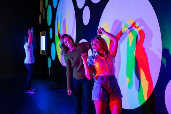 Paradox Museum Miami by null