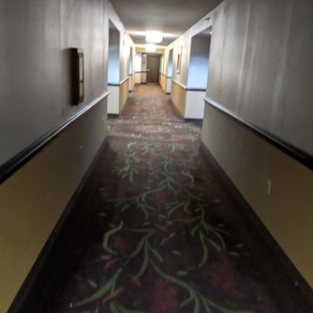 Circus Circus - Hotels Near Me - Las Vegas, Nevada Circus Circus - Hotels Near Me - Las Vegas, Nevada