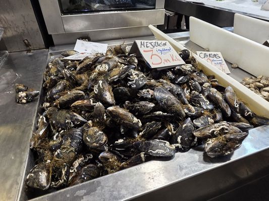 Mercado Central de Abastos de Cádiz by null
