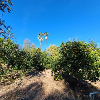 Arlington Garden in Pasadena - Citrus - Botanical Gardens Near Me - Pasadena, California Arlington Garden in Pasadena - Citrus - Botanical Gardens Near Me - Pasadena, California