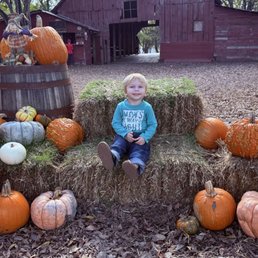 Barn Entrance - A young child with blonde hair and a blue shirt sits on hay bales surrounded by pumpkins of different sizes, shapes, and colors, including orange, white, and green. The setting appears to be a pumpkin patch or farm with rustic wooden buildings and trees in the background. Other visitors are visible, including a person standing near a picnic table and children walking around. The scene is outdoors with natural lighting and fall decorations.