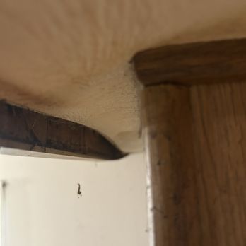 Nixtermite - Damage - Pest Control Near Me - Bonita, California