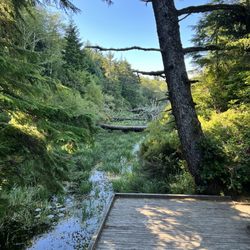Mike Miller Trail - Mike Miller Trail
