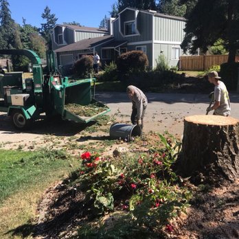 Tree Service American Arbor Care - Dylan cleaning up the mess!! - Tree Services Near Me Tree Service American Arbor Care - Dylan cleaning up the mess!! - Tree Services Near Me