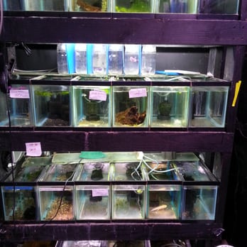 Moanalua Pets - Pet Stores Near Me - Honolulu, Hawaii Moanalua Pets - Pet Stores Near Me - Honolulu, Hawaii