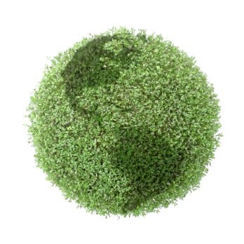 Copeland's Chem-Dry - Carpet Cleaning Near Me Copeland's Chem-Dry - Carpet Cleaning Near Me