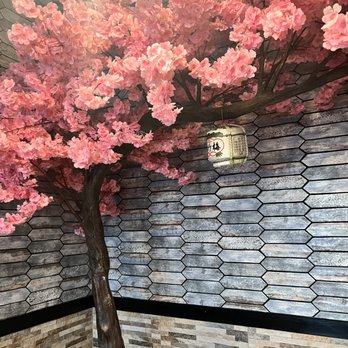 Sushi Masa Spring - Sushi Bars Near Me - Spring, Texas Sushi Masa Spring - Sushi Bars Near Me - Spring, Texas