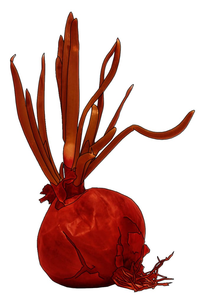 DESIGN ONION Unit 6 The Craft Village, Belfast, Fermanagh, United