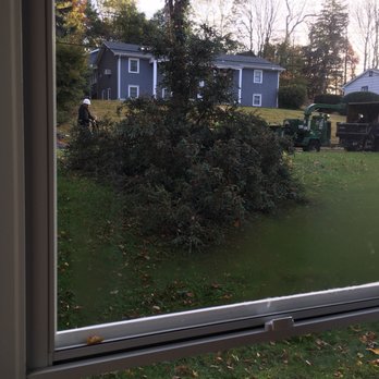 T&D Tree Service - Tree Services Near Me - Norwalk, Connecticut T&D Tree Service - Tree Services Near Me - Norwalk, Connecticut