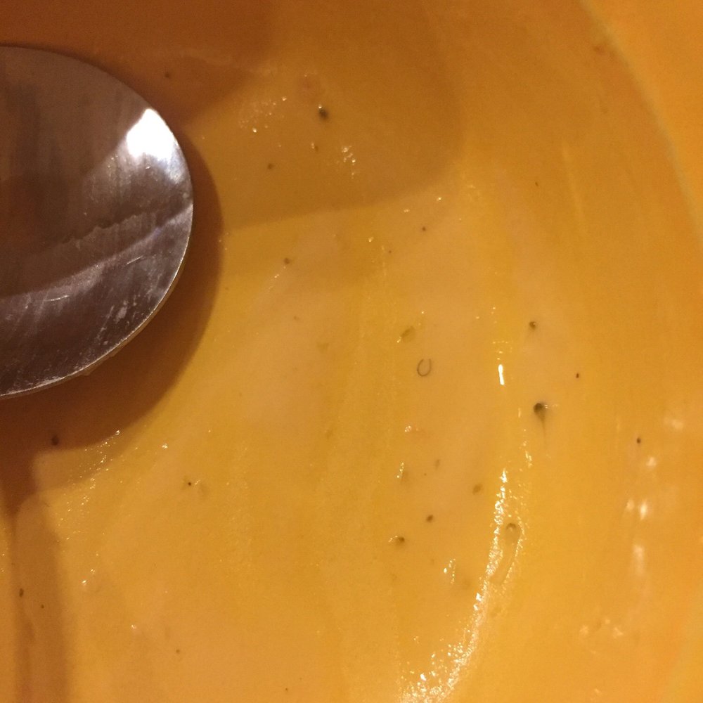Panera Bread - :( - Sandwiches Near Me - Rego Park, New York Panera Bread - :( - Sandwiches Near Me - Rego Park, New York
