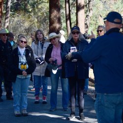 Chirp Nature Centers - Join us for our free, guided bird walks in Big Bear Lake, CA. May through October. Register online at chirpforbirds.com/birdwalk