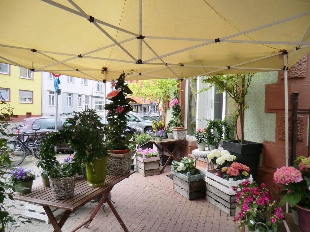 LA VIE EN FLEUR Updated October 2024 11 Photos Glauburgstr. 20