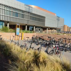 University of Riverside