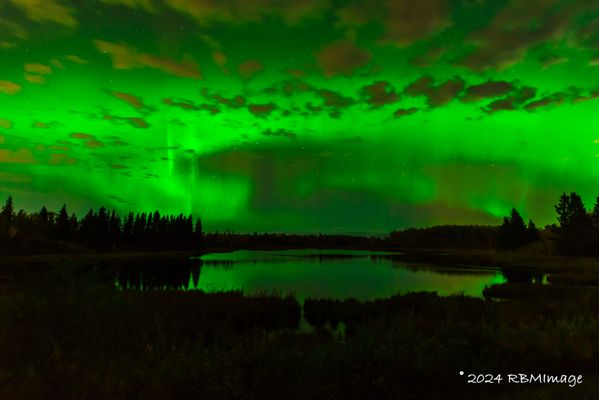 Elk Island National Park by null