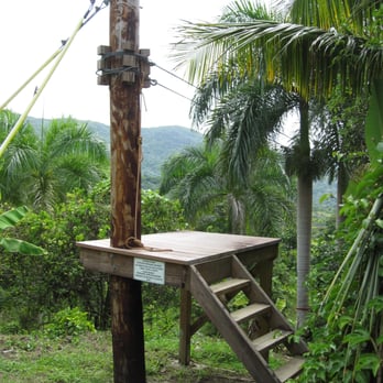 Yunque Ziplining - Platform at the top of one line, not that far off the ground so no need to fear heights. - Hiking Near Me - Luquillo, Puerto Rico Yunque Ziplining - Platform at the top of one line, not that far off the ground so no need to fear heights. - Hiking Near Me - Luquillo, Puerto Rico