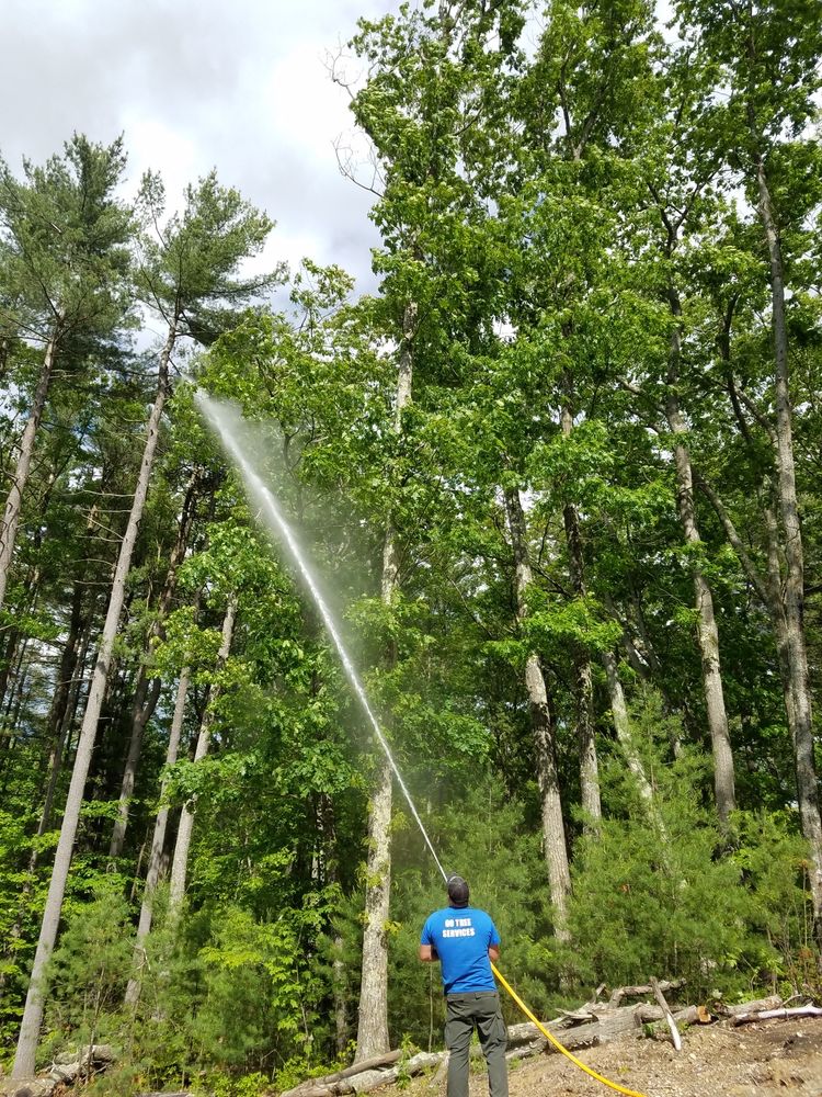 Go Tree Services - tree service in Millbury, MA