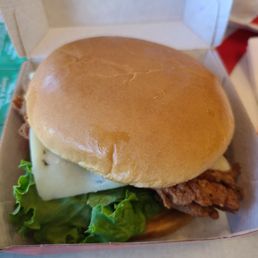 Spicy Chicken Delux