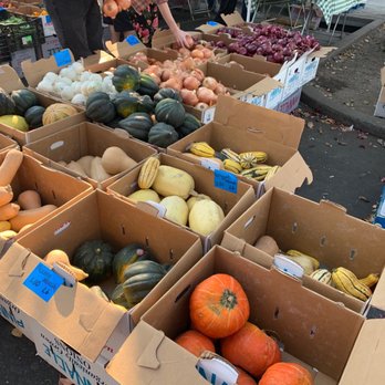Temescal Farmers Market - Farmers Market Near Me - Oakland, California Temescal Farmers Market - Farmers Market Near Me - Oakland, California