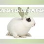 Photo of Dierenkliniek Duinwijklaan