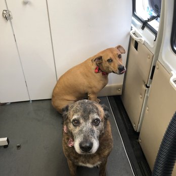 Barking Fur Bubbles Mobile Grooming - We love you Steph!! - Pet Groomers Near Me - Moncks Corner, South Carolina