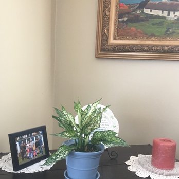 Found Things - Nurseries & Gardening Near Me - Syracuse, New York