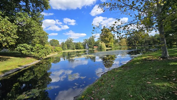 Spring Grove by null