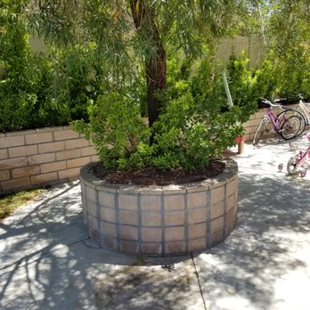 AC Horticultural Management - In a large planter, removed the whole thing. - Landscaping Near Me - Chatsworth, California