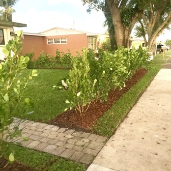 The Billy Goat - View from the front yard - Landscaping Near Me - Miami, Florida