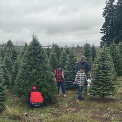 Betsy B's U Cut Christmas Tree Farm