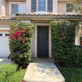 Louis MC Tree Service - After, bougainvillea neatly pruned. - Tree Services Near Me Louis MC Tree Service - After, bougainvillea neatly pruned. - Tree Services Near Me