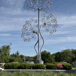 Beacon Bloom
