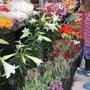Photo of Wong's Fruit Market